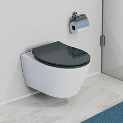 Toiletzitting Schutte Slim Anthrazit Duroplast Ultra Dun Met Soft Close En Quick Release Antraciet Schütte - thumbnail