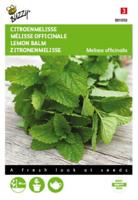 Citroenmelisse - thumbnail