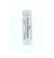 Homeoden Heel Phosphoricum acidum 200K 6 Gram - thumbnail