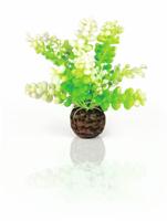 BiOrb Caulerpa groen aquarium decoratie - thumbnail