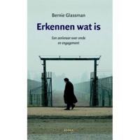 Erkennen wat is (Paperback) - thumbnail