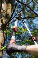 Meister Takkenschaar Telesc. Amboss 2C - WU9769300 - thumbnail