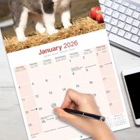 Siberian Husky Kalender 2026 - thumbnail