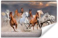 Fotobehang - Kudde galopperende paarden, 11 maten, premium print, inclusief behanglijm - thumbnail