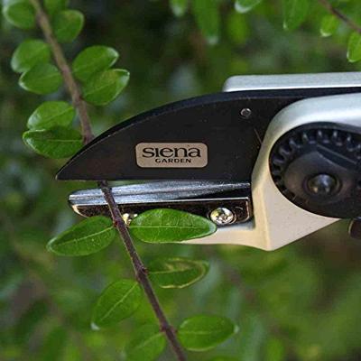 Siena Garden CG1090 Grasschaar 21 cm Amboss