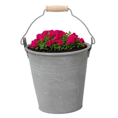 Zinc Old Look Bucket 3 Litres D18H18 bloempot MCollections - Mcollections