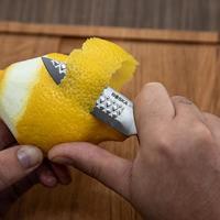 Boska - Paring Knife Monaco+ - thumbnail