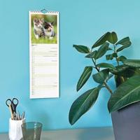 Kittens Kalender 2026 Slimline - thumbnail