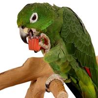 Back zoo nature Fruitkuipje aardbei 6st - thumbnail