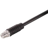 Weidmüller 1380540000 Sensor/actuator connector, geassembleerd M12 Aantal polen (sensoren): 4 Stekker 1 stuk(s) - thumbnail