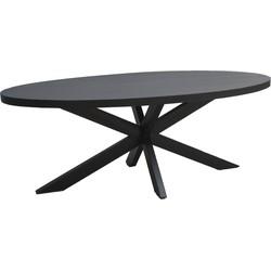 LivingFurn Ovale Eettafel 'Kala Spider' Mangohout en staal, 240 x 110cm, kleur zwart LivingFurn Ovale Eettafel 'Kala Spider' Mangohout en staal, 240 x 110cm, kleur zwart