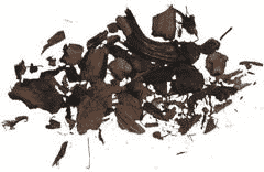 Wierookkruid Notengraswortel