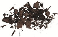 Wierookkruid Notengraswortel - thumbnail