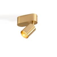 Trizo21 - Audette up Rounded Spot - thumbnail