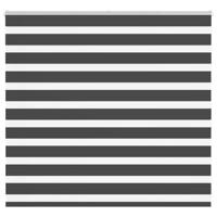 VidaXL Zebra rolgordijn 165x100 cm stofbreedte 160,9 cm zwart - thumbnail