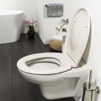 Tiger Toiletzitting Ventura Softclose Duroplast Pergamon - thumbnail