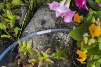 GARDENA 07290-20 PVC Slangverbindingsstuk 4 mm Set van 3 stuks - thumbnail