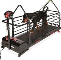 Dog Runner Ortho Pro - thumbnail