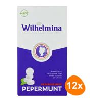 Wilhelmina pepermunt vegan doosje (12x 100gr) - thumbnail