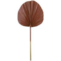 Light & Living blad plantae bruin 87 cm | 12 stuks - thumbnail