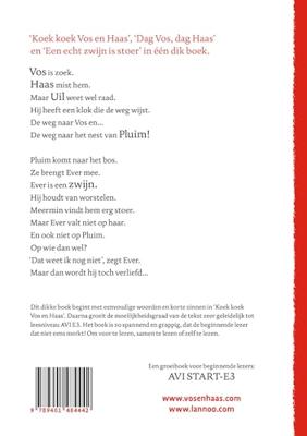 Het tweede dikke boek