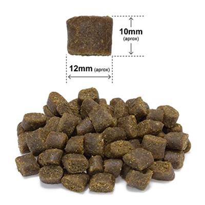 ARQUIVET Fresh Chicken and oceanic fish - droog hondenvoer - 10 kg