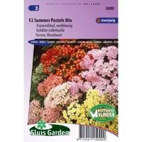 Duizendblad zaden Summer Pastels F2 mix (Achillea) - thumbnail