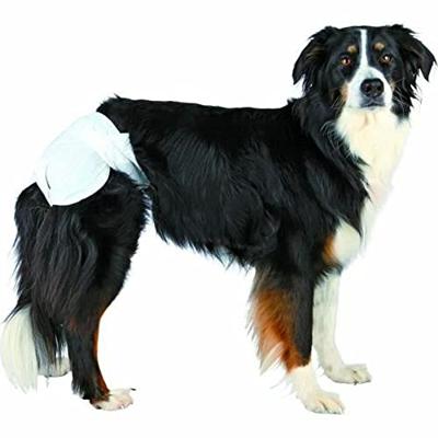 Luiers Trixie M Hond - thumbnail