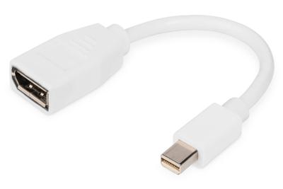 Digitus DB-340405-001-W DisplayPort-kabel Adapter DisplayPort-stekker, Mini DisplayPort-stekker 0.15 m Wit Digitus DB-340405-001-W DisplayPort-kabel Adapter DisplayPort-stekker, Mini DisplayPort-stekker 0.15 m Wit