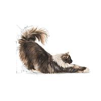 Royal Canin Indoor Long Hair kattenvoer 2 kg - thumbnail