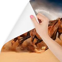 Fotobehang - Galopperende Paarden in de Woestijn, 11 maten, premium print, inclusief behanglijm - thumbnail