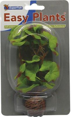 Easy plants small 13cm nr.1 zijde