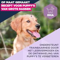 EUKANUBA Puppy L XL Rich in lamb & rice - droog hondenvoer - 12kg - thumbnail