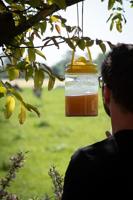 Knock Pest FlyNip VliegenVal (incl. lokstof) - thumbnail