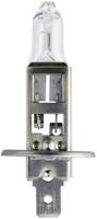 Lampje 12V-55W H1 Philips - thumbnail