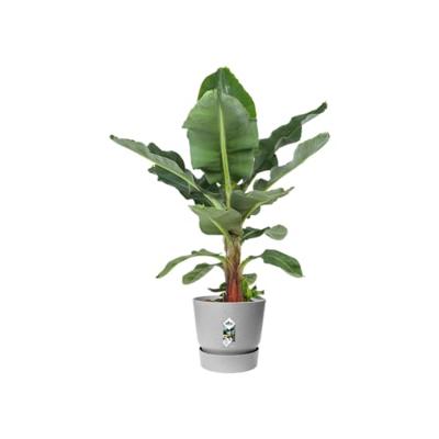 ELHO Greenville 30 ronde bloempot - Buiten - Ø 29,5 x H 27,8 cm - Living betongrijs