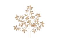 Countryfield Arachniodes 100 cm goud - thumbnail