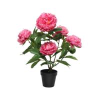 Kunstplant Pioenroos h57cm fuchsia - thumbnail