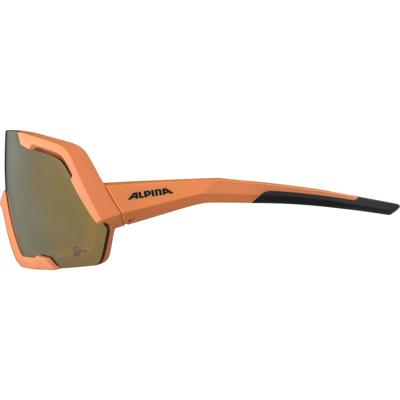 Olympic Sportswear Alpina sports sportbril rocket q-lite mat roze