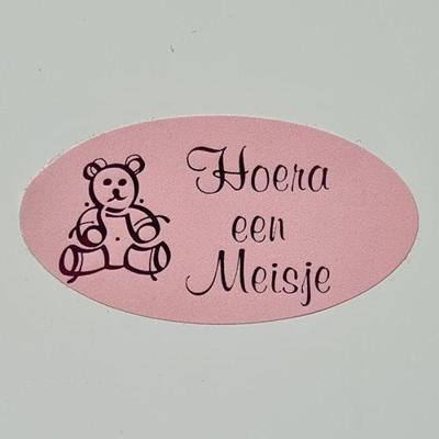 Etiket Hoera een meisje roze/magen ovaal