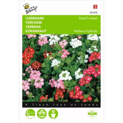 Verbena, IJzerhard compact kleurenmengsel
