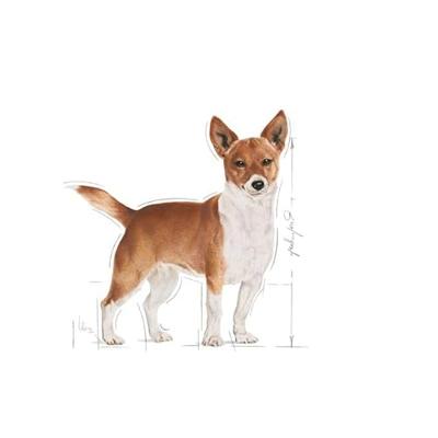 Royal Canin Urinary Care natvoer hondenvoer zakjes 12x85g - thumbnail