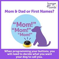 Hunger For Words talking pet next words names hond - thumbnail