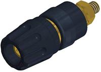 SKS Hirschmann PKI 10 A Au Poolklem Zwart 35 A 1 stuk(s) - thumbnail