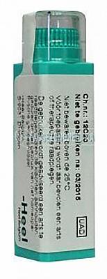 Homeoden Heel Phosphorus 200K 6 Gram