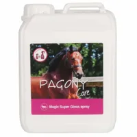 Pagony Magic Super Gloss Spray - thumbnail
