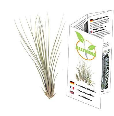 Metazoa Naturalfit Timothee maat:15 kg