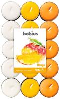Bolsius Geurtheelicht multi colour brick 30 mango 18 Stuks - thumbnail