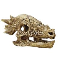 Skull T Rex M aquaria Superfish - Superfish - thumbnail