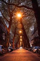 Samyang 85mm F/1.4 MK2 Sony FE - thumbnail